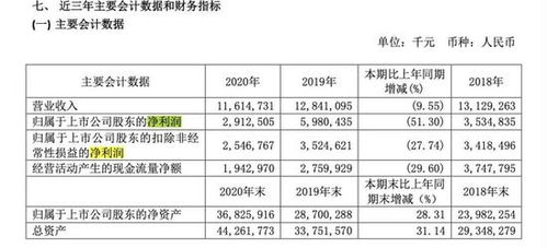 周鴻祎的追風(fēng)之旅 360押注新造車，互聯(lián)網(wǎng)安全巨頭的轉(zhuǎn)型之困
